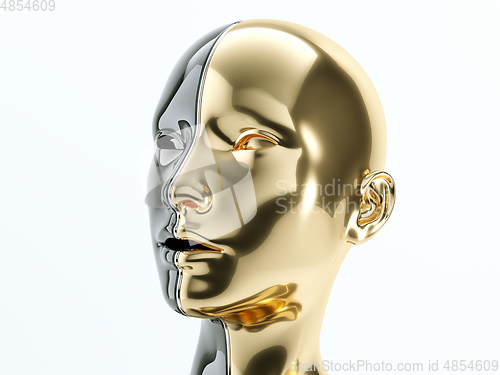 Image of black and gold human head separated by line as symbol of balance