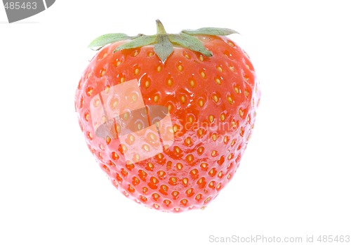 Image of Strawberry