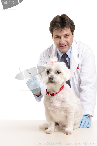 Image of Vet and pet dog