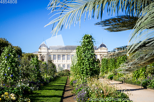 Image of Jardin des plantes Park and museum, Paris, France