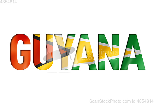 Image of guyanese flag text font