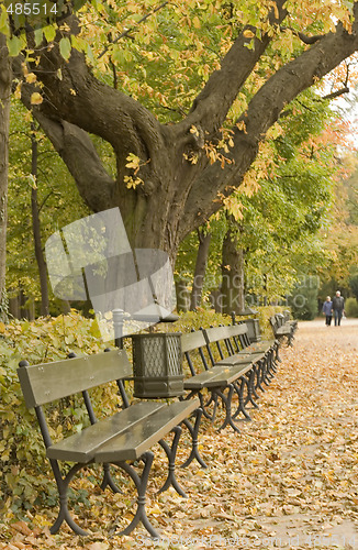 Image of AUTUMN