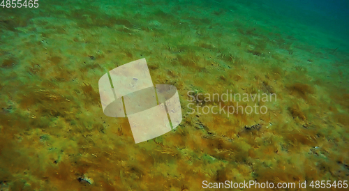 Image of Underwater walk into the sea.