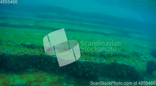 Image of Underwater rock covered with algae.