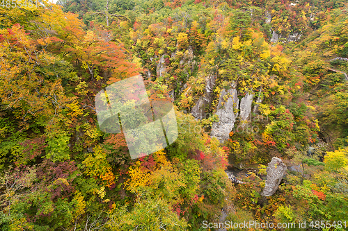 Image of Naruko canyon in Japan