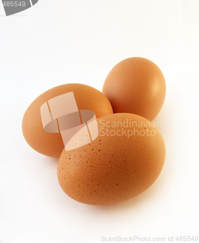 Image of Eggs