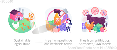 Image of Sustainable organic agriculture abstract concept vector illustrations.