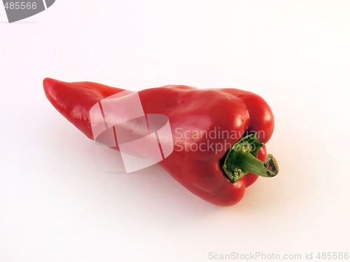 Image of Red paprika