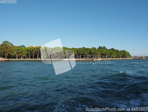 Image of Giardini in Venice