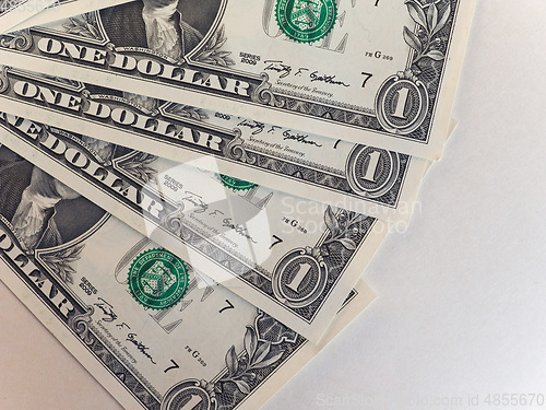 Image of Dollar (USD) notes, United States (USA) with copyspace