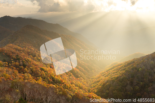 Image of Sunset in Hangetsuyama of Nikko