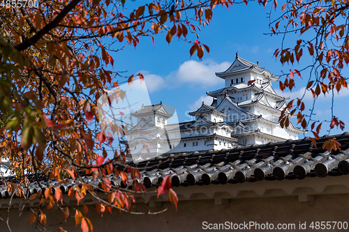 Image of Japanese Himeji Castle