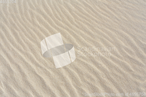 Image of Sandy beach background with lines