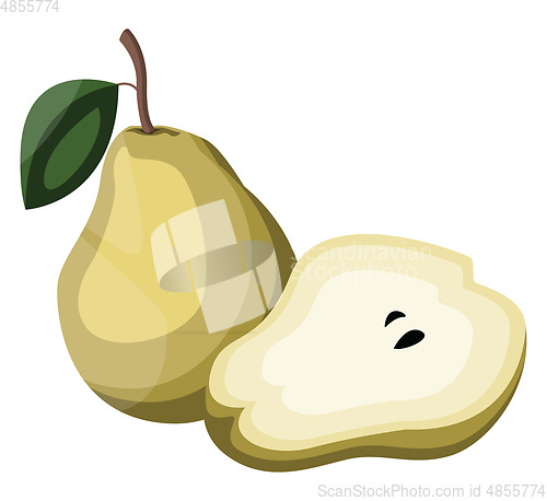 Image of Cartoon of a yellow pear  fruit with green leaf half a pear with