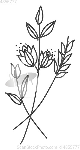 Image of Flower silhouettes 