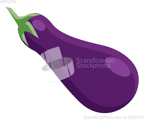 Image of A fresh bright vegetable of purple color known as eggplant vecto