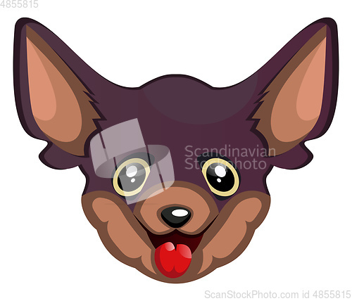 Image of Silly Chihuahua illustration vector on white background