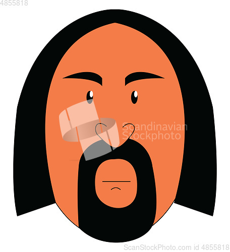 Image of A man with long hair and a stylish beard vector or color illustr