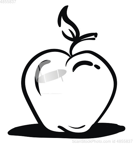 Image of Black and white apple, vector color illustration.