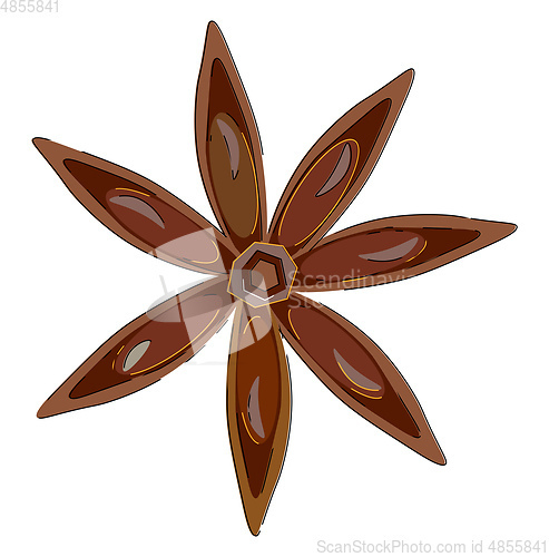 Image of Portrait of the spice anis vector or color illustration