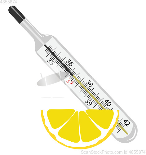 Image of A lemon wedge lying close to a thermometer vector or color illus