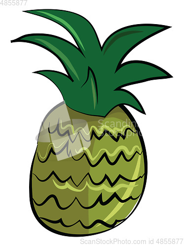 Image of A pineapple fruit with its strong green shoots vector color draw