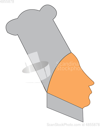 Image of A chef vector or color illustration