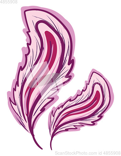 Image of Bright purple feather vector or color illustration