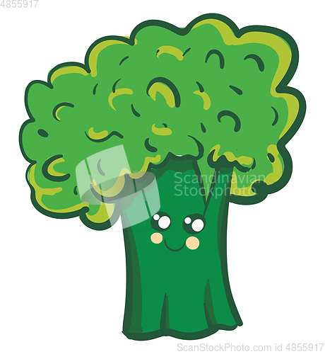 Image of Vector illustration of a cure smiling green broccoli on white ba