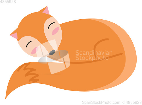 Image of An orange sleeping fox vector or color illustration