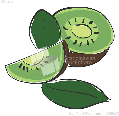 Image of Healthy kiwi vector or color illustration