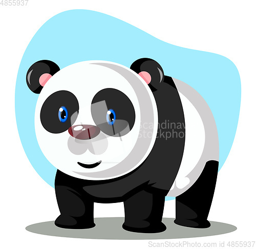 Image of White Panda, vector color illustration.