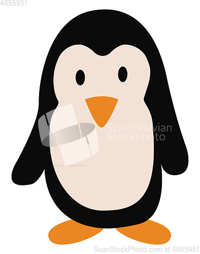 Image of A cute penguin vector or color illustration