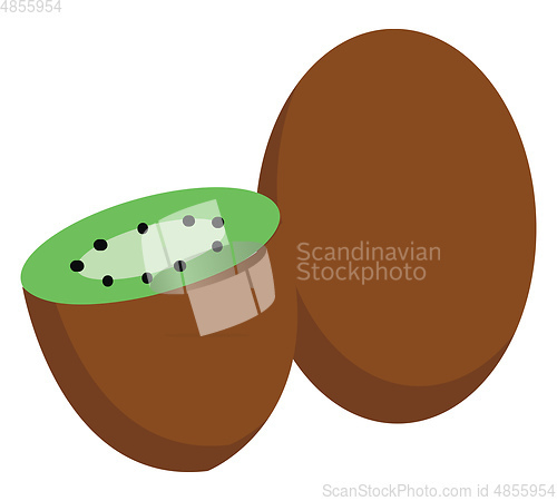 Image of Kiwi fruit cut in half  vector illustration on white background 