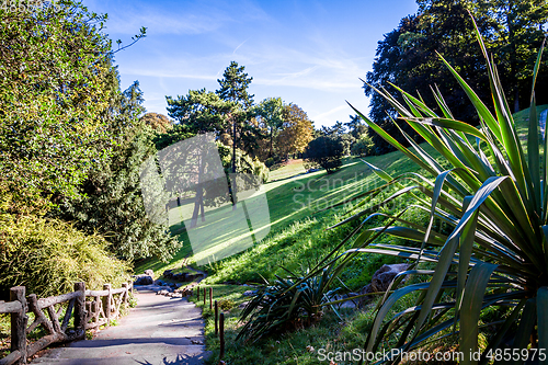 Image of Buttes-Chaumont Park, Paris