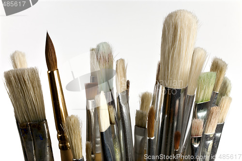 Image of Paintbrushes