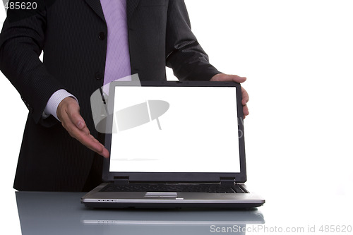 Image of Businessman showing data