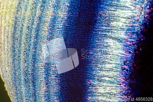 Image of colorful microcrystals