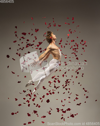 Image of Young and graceful ballet dancer on studio background with rose petals. Art, motion, action, flexibility, inspiration concept.