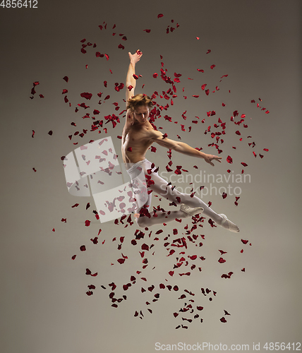 Image of Young and graceful ballet dancer on studio background with rose petals. Art, motion, action, flexibility, inspiration concept.