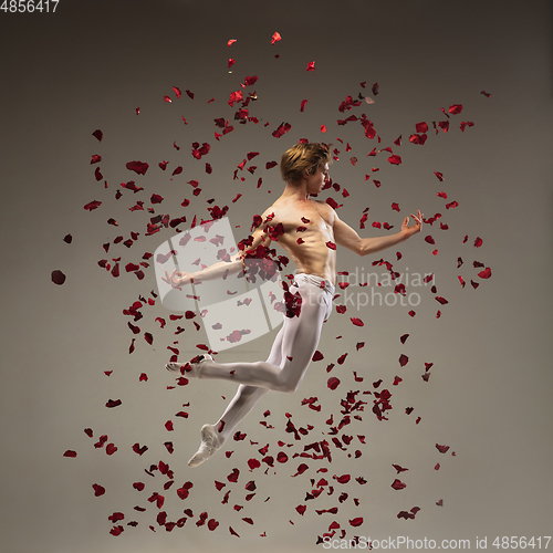 Image of Young and graceful ballet dancer on studio background with rose petals. Art, motion, action, flexibility, inspiration concept.