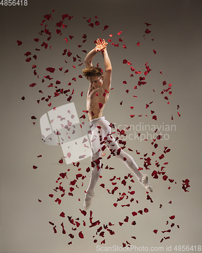 Image of Young and graceful ballet dancer on studio background with rose petals. Art, motion, action, flexibility, inspiration concept.