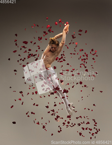 Image of Young and graceful ballet dancer on studio background with rose petals. Art, motion, action, flexibility, inspiration concept.