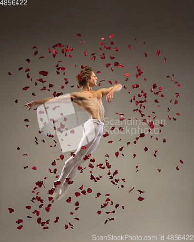 Image of Young and graceful ballet dancer on studio background with rose petals. Art, motion, action, flexibility, inspiration concept.