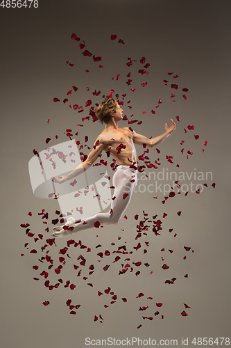 Image of Young and graceful ballet dancer on studio background with rose petals. Art, motion, action, flexibility, inspiration concept.