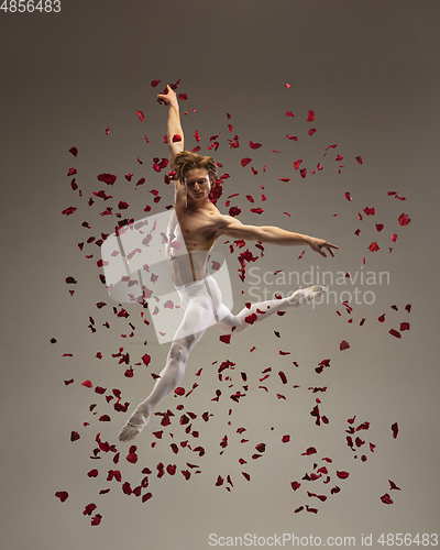 Image of Young and graceful ballet dancer on studio background with rose petals. Art, motion, action, flexibility, inspiration concept.