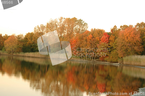 Image of autumn white sky1068