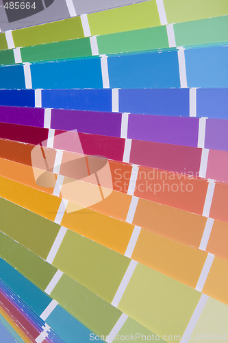 Image of palette color choice