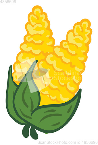 Image of Yellow corn on green branch with green leafs vector illustration