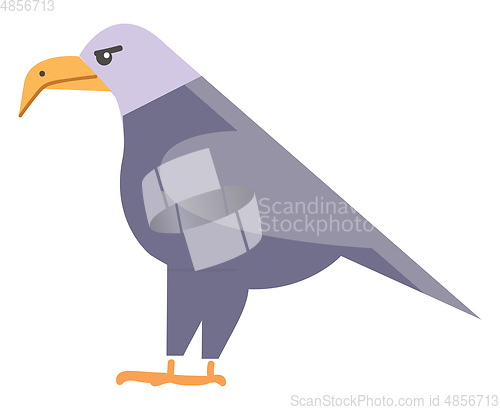 Image of Clipart of a large colorful bird with sharp curved beak that it 